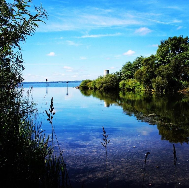 Excursii in Delta Dunării