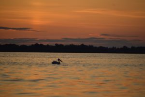 Camping in Delta Dunării: De ce trebuie să ţii cont când campezi?