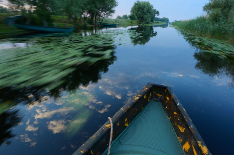 Delta Dunării – Descoperă biodiversitatea unică