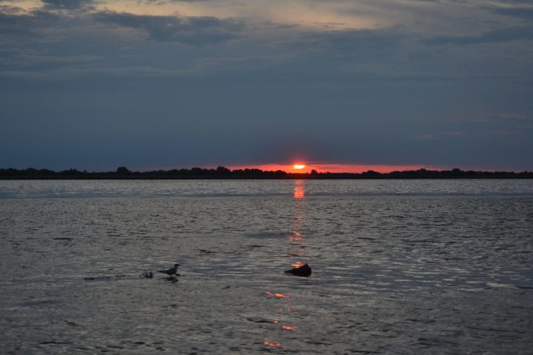 Descoperă Frumusețea Naturii în Sulina, Crisan, Mila 23 și Letea